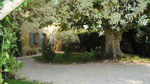 Bastide Valentine - Chambres d'hotes proche d'Avignon, à Montfavet